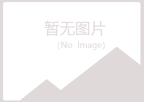 盐池县如柏设计有限公司